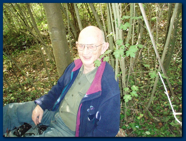 600x449 pixels (193K)